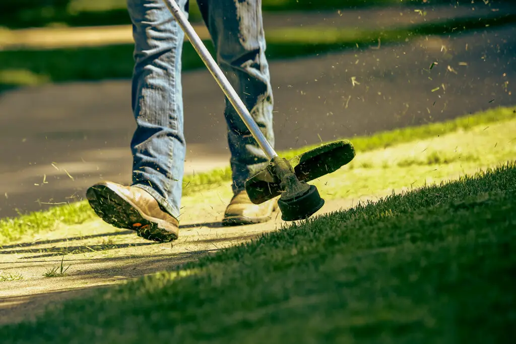 Weed Wacker Trimming Lawn