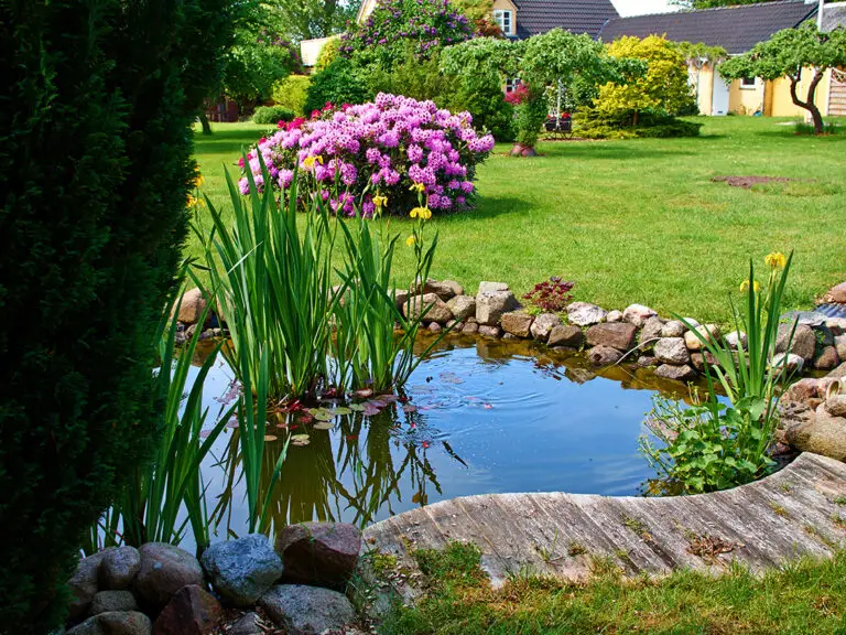 Landscaping Water